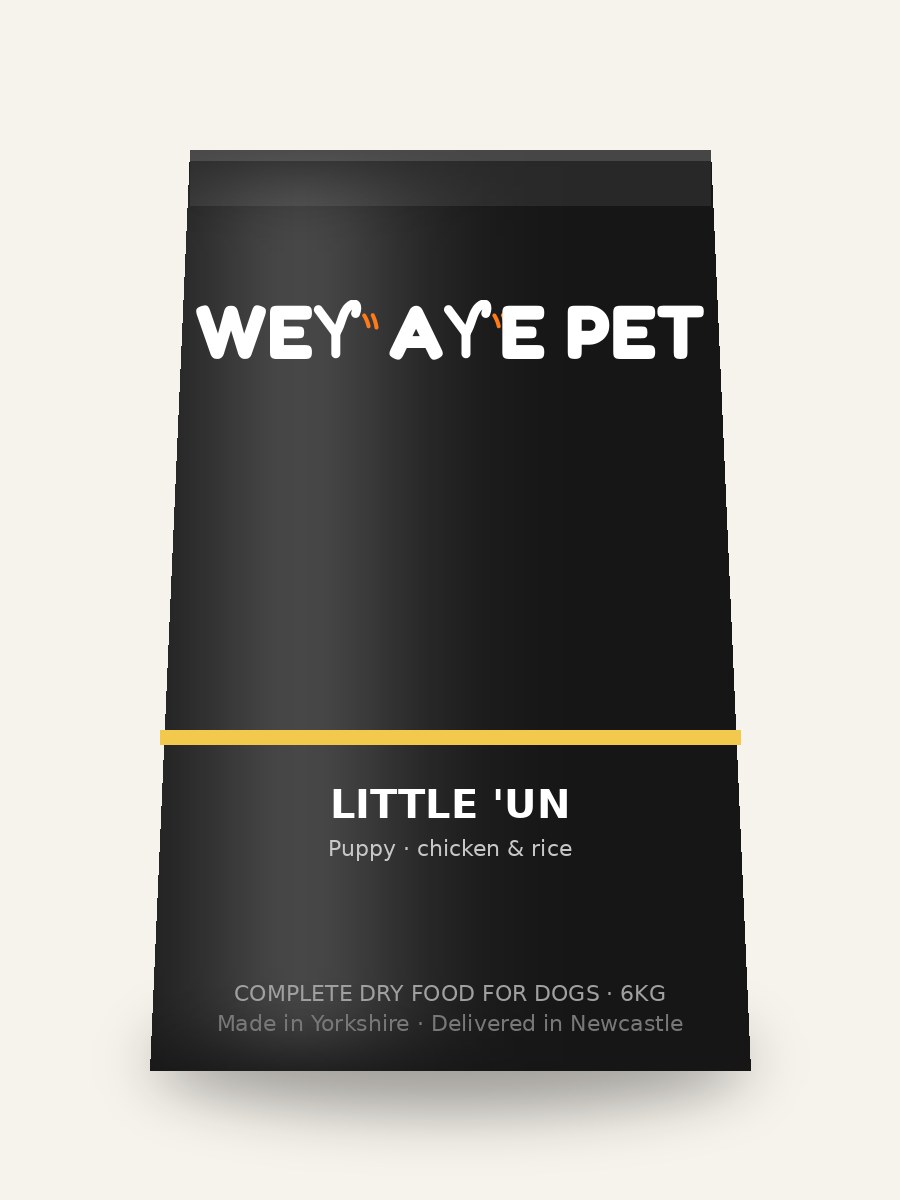 Little 'Un bag